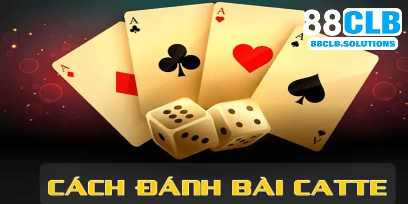 Cách Chơi Bài Catte Đơn Giản Và Dễ Hiểu Chỉ Trong 1p30s