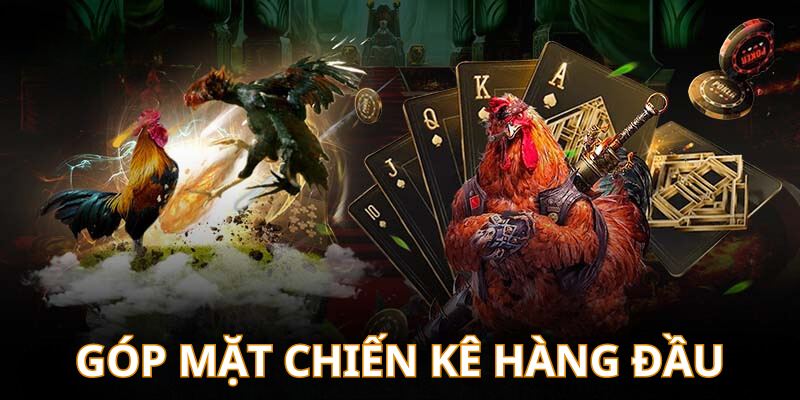 Đá gà online 88Clb quy tụ dàn siêu kê cực khủng