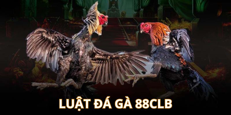 Tìm hiểu luật đá gà chung tại casino 88Clb