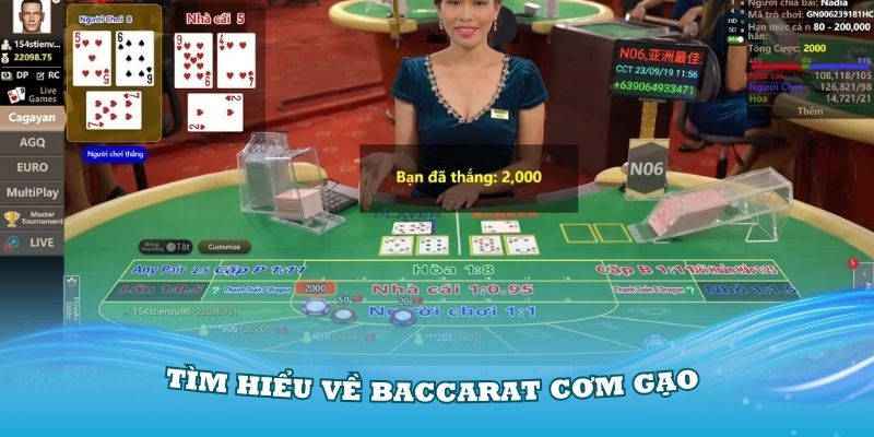 Tìm hiểu về cách chơi Baccarat cơm gạo đang rất ưa chuộng